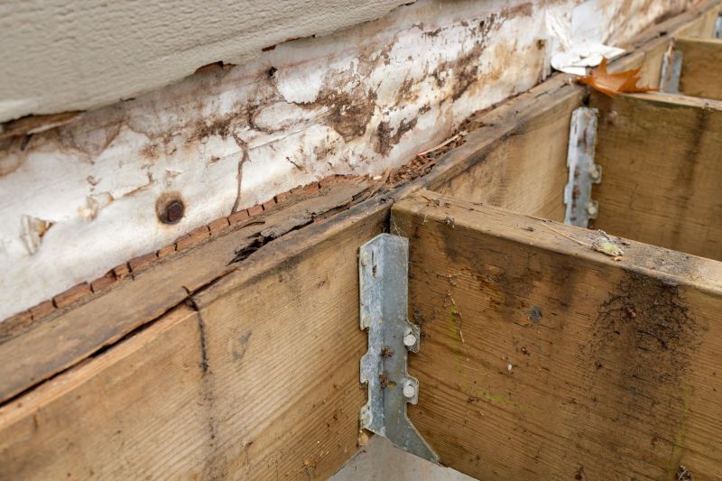 Wood Rot Repair For Decks, Porches, And Ramps